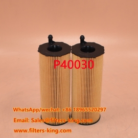فیلتر روغن P40030