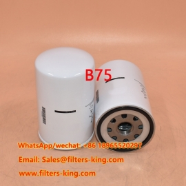 فیلتر روغن B75