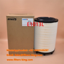 فیلتر هوا E1013L