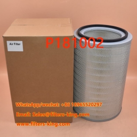 فیلتر هوا P181002