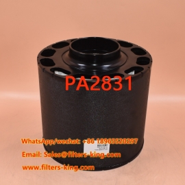 فیلتر هوا PA2831