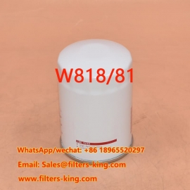 فیلتر روغن W818/81