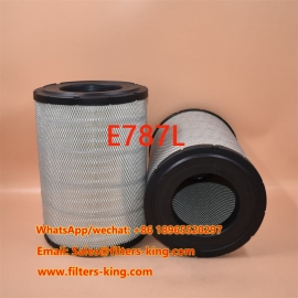 فیلتر هوا E787L