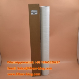 فیلتر گاز طبیعی PCHG-336