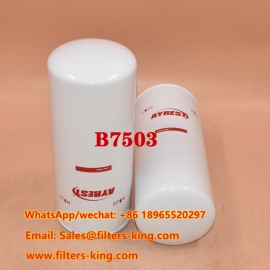فیلتر روغن B7503