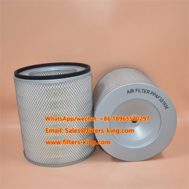 فیلتر هوا P181000