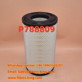 فیلتر هوای P788809